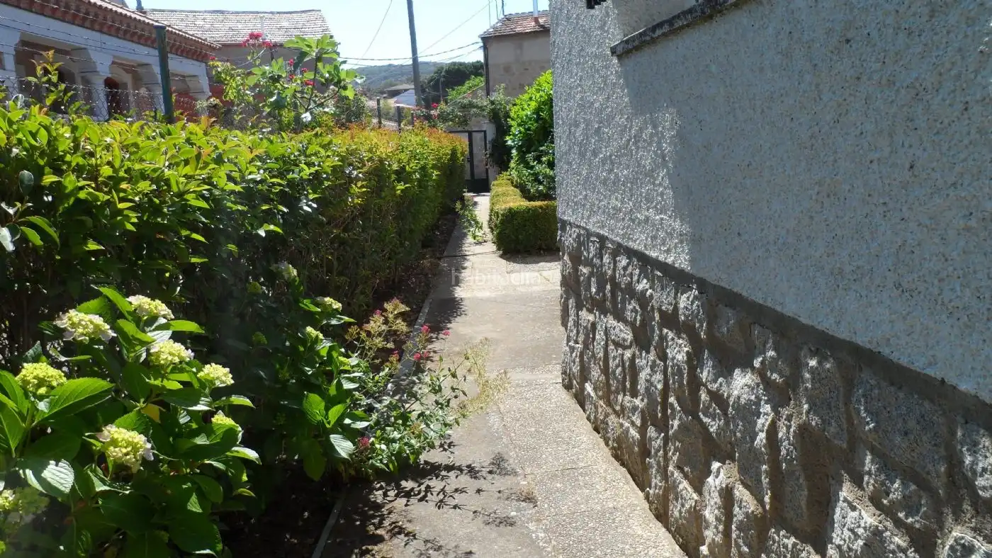Chalet con jardín en venta en Calle Matadero 5, imagen 23