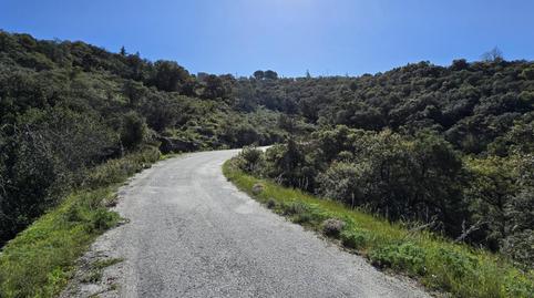 Foto 5 de Residencial en venda a San Agustín del Guadalix pueblo, San Agustín del Guadalix