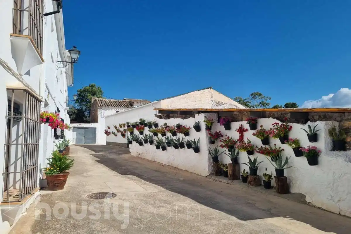 Vista exterior de Casa o chalet en venta en Priego de Córdoba con Aire acondicionado, Calefacción y Jardín privado