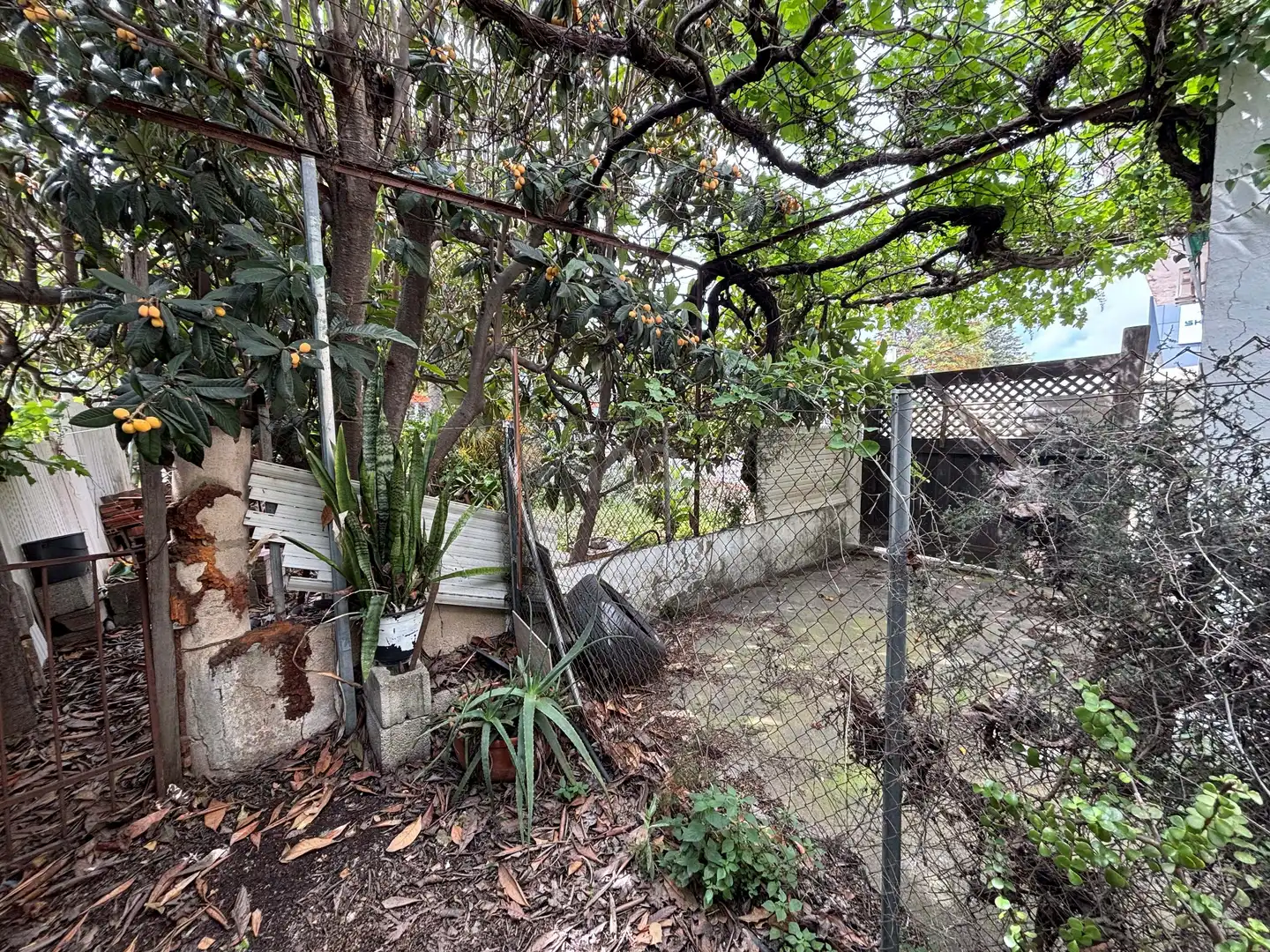 Jardín de Edificio en venta en Dénia