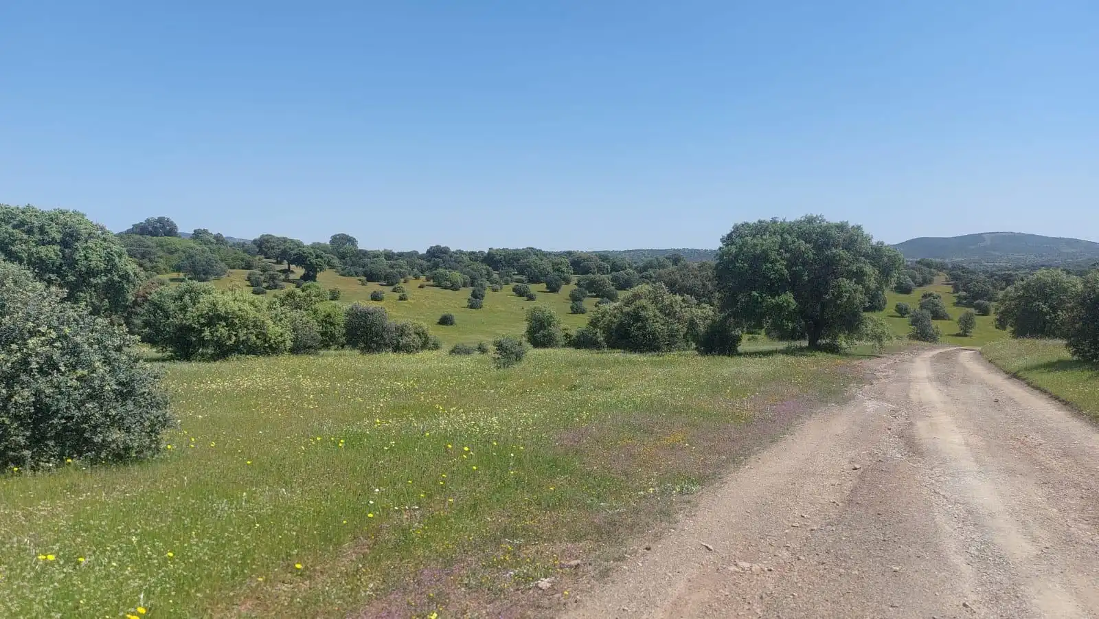 Residencial en venda en Aldeaquemada