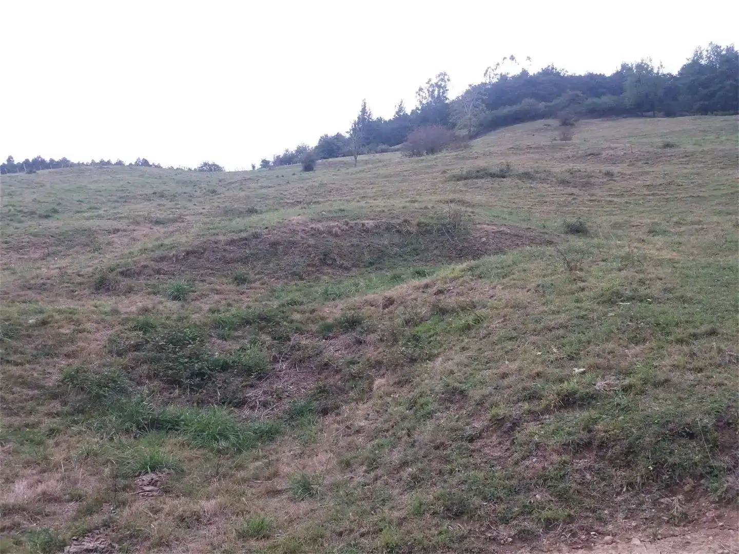 Terreno en venta en Molledo, Cantabria