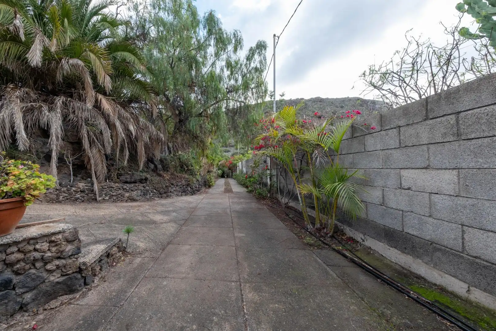 Casa o chalet en venta en Calle FUENTE MORALES, Almatriche