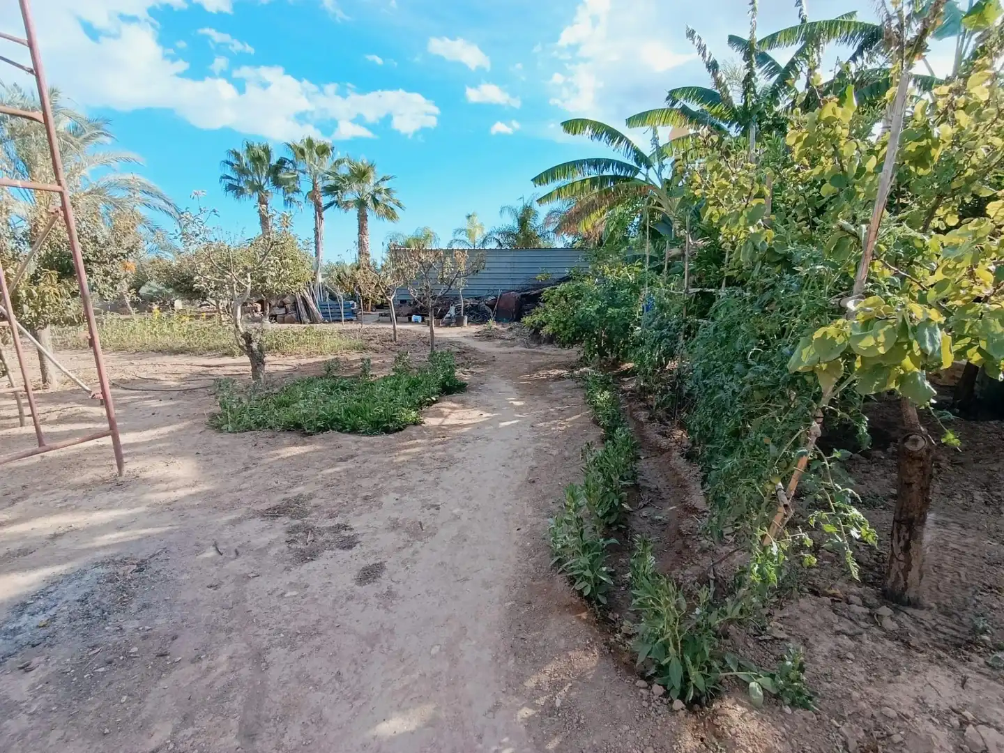 Villa con piscina in vendita a La Algoda - Matola - Llano de San José, imagen 42
