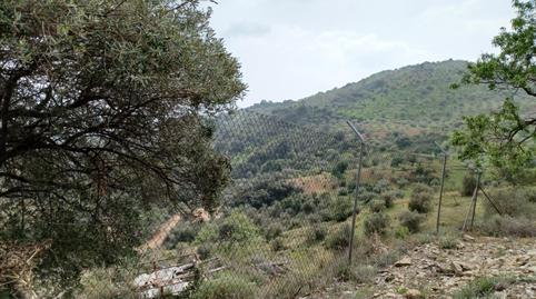 Foto 5 von Grundstücke zur Miete in Carretera de Olías, Olías, Málaga Capital