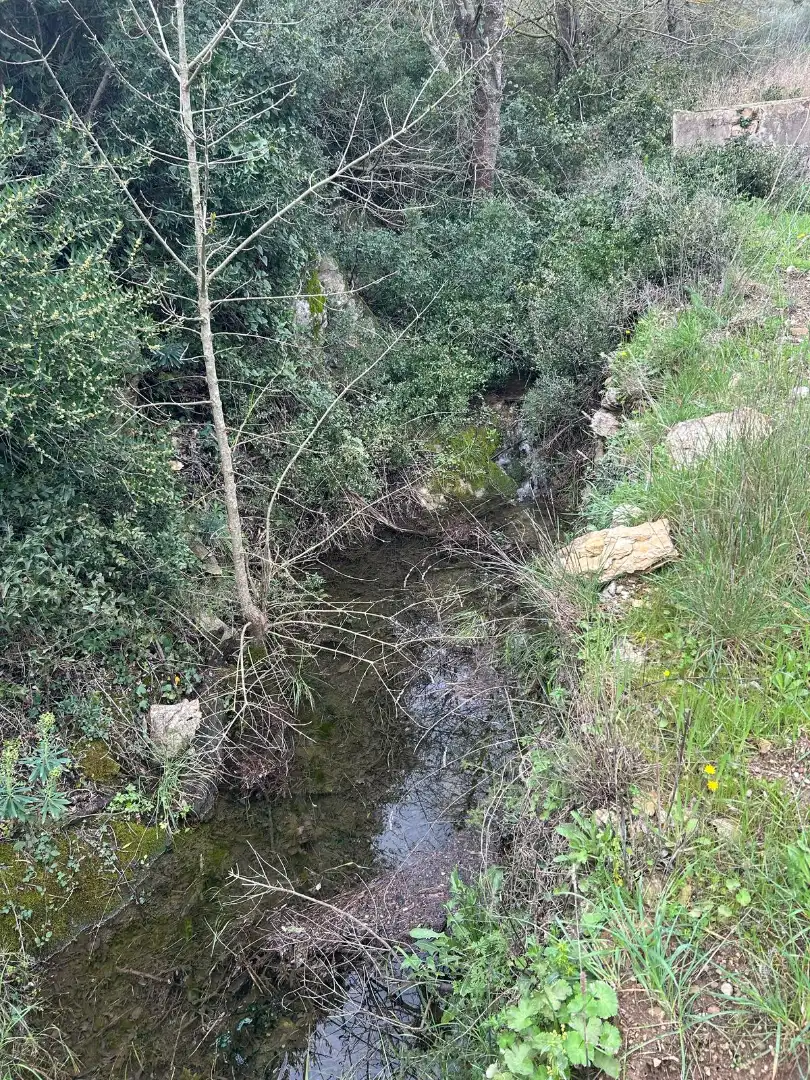Land for sale in Biure