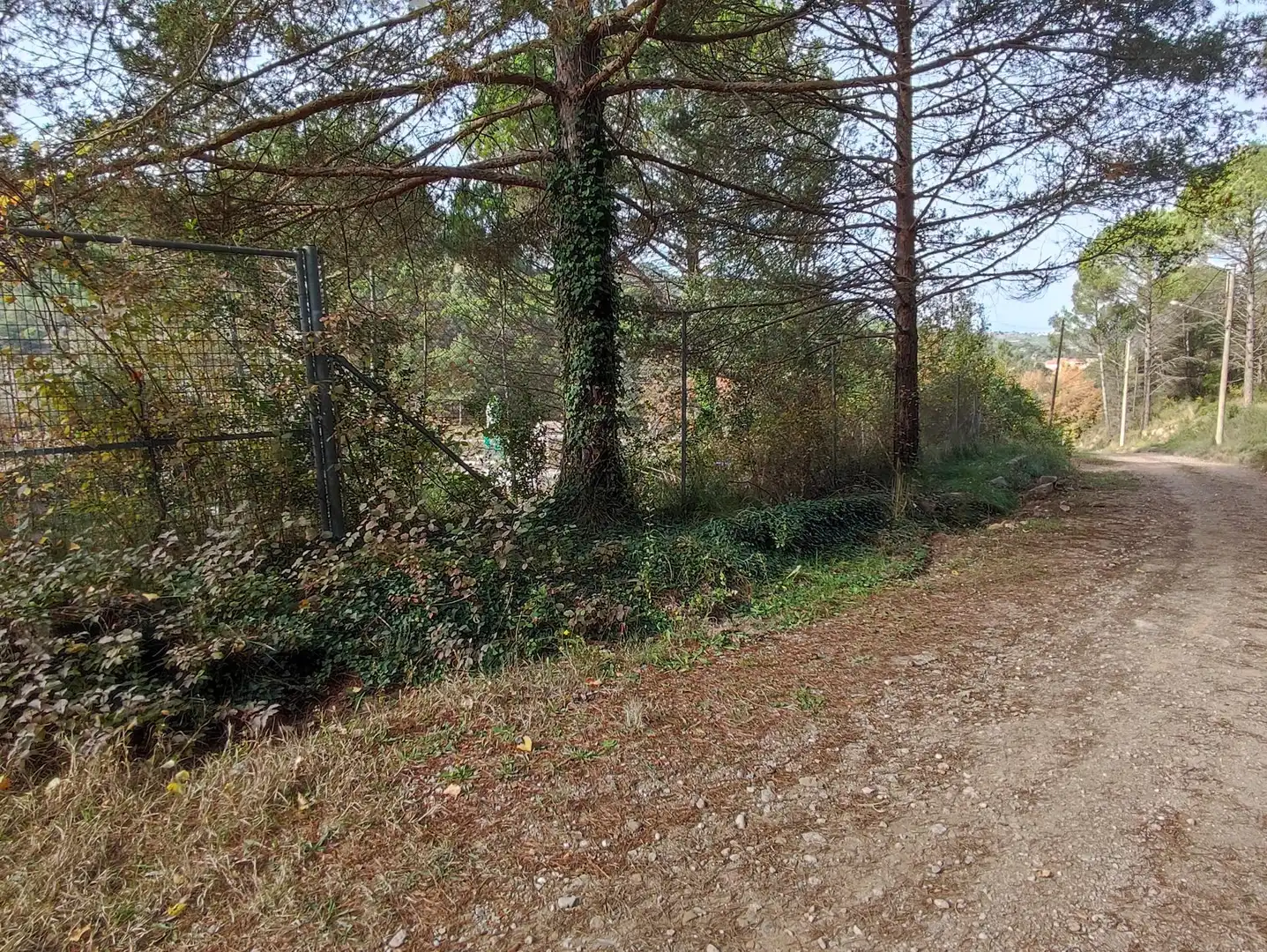 Terrain rustique à vendre à Monistrol de Calders, imagen 13