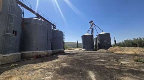 Finca de 7000m2 con 2000m2 de nave en el puente de la cerrada, termino de Ubeda., imatge 5