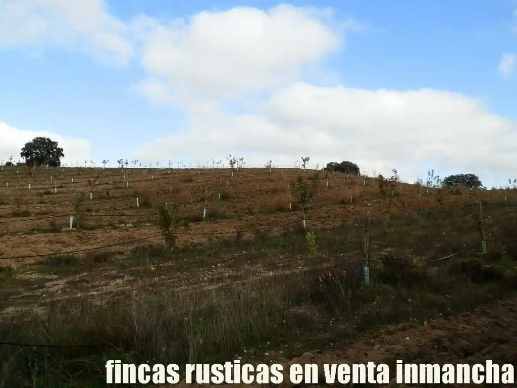 Terreni e lotti in vendita a Torrijos, imagen 17