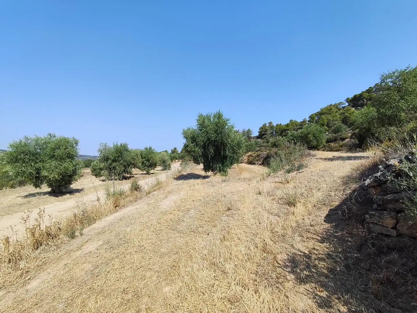 Terreno en venta en Cervià de Les Garrigues