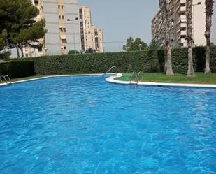 Piscina de Pis de lloguer en El Campello amb Aire condicionat i Terrassa