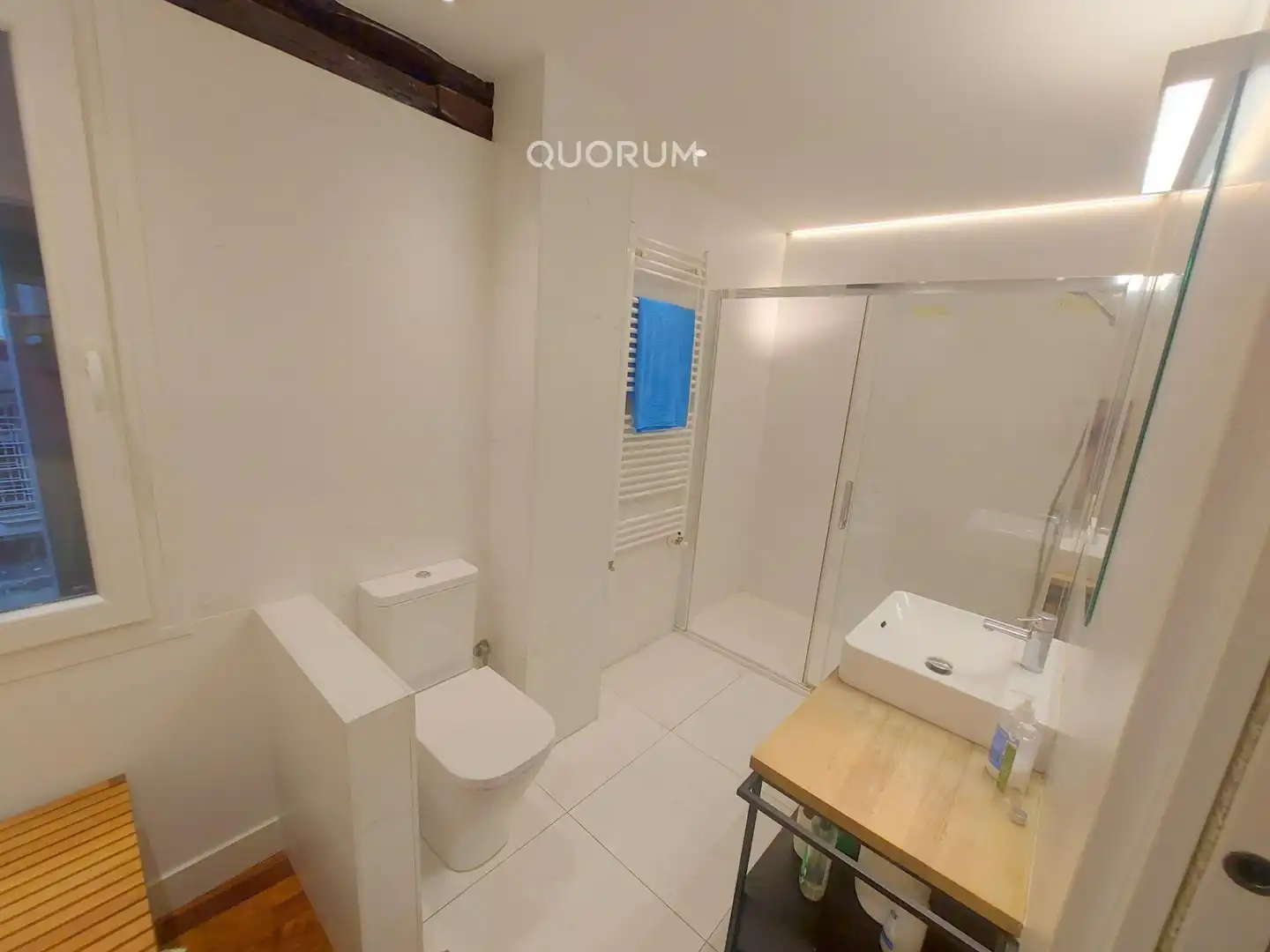 Bathroom of Flat for sale in Ibaiondo