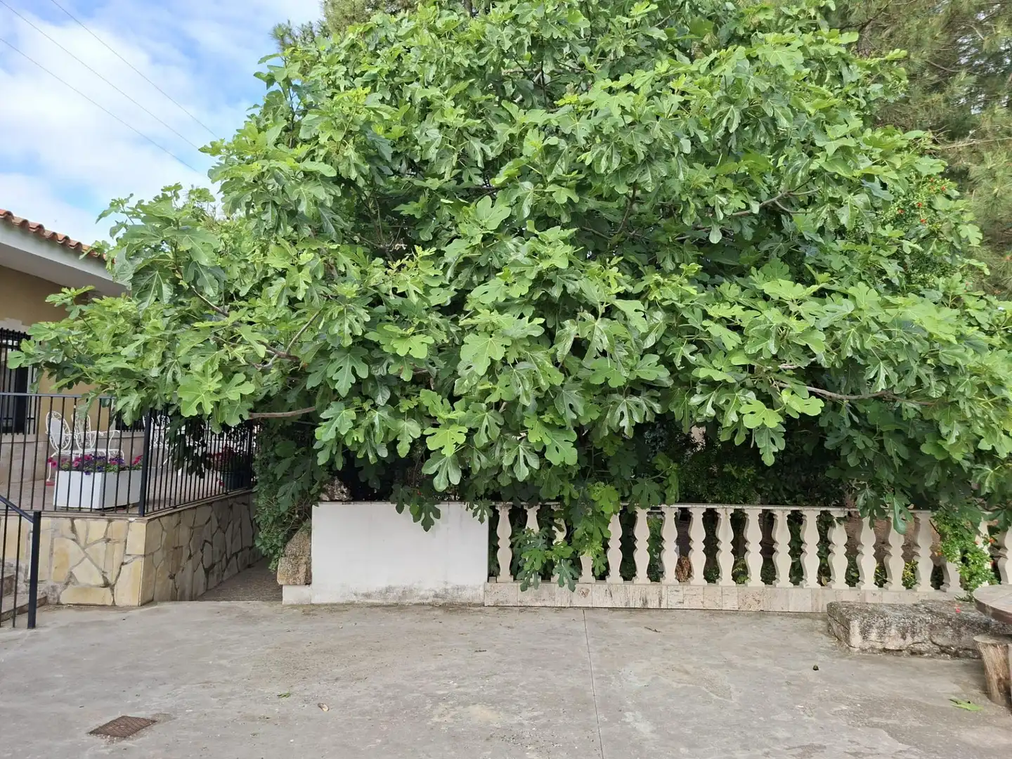 Vista exterior de Finca rústica en venda en La Almarcha  amb Calefacció, Jardí privat i Piscina