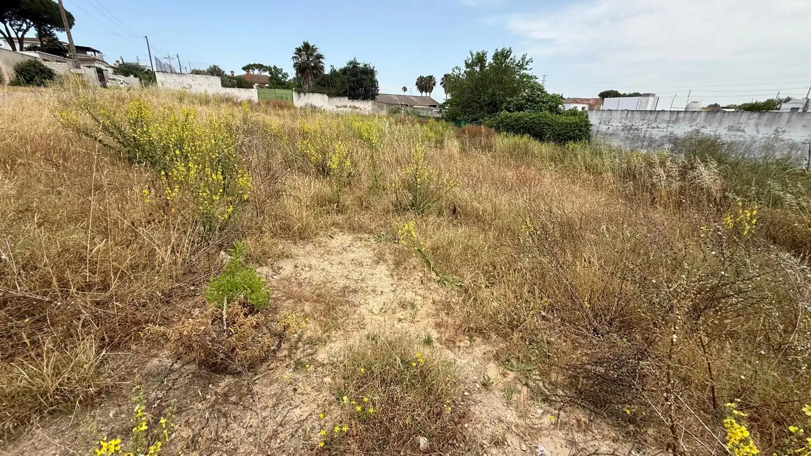 Rural land for sale in El Juncal - Vallealto