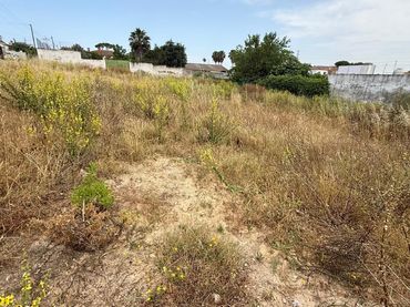 Terreno rustico in vendita a El Juncal - Vallealto