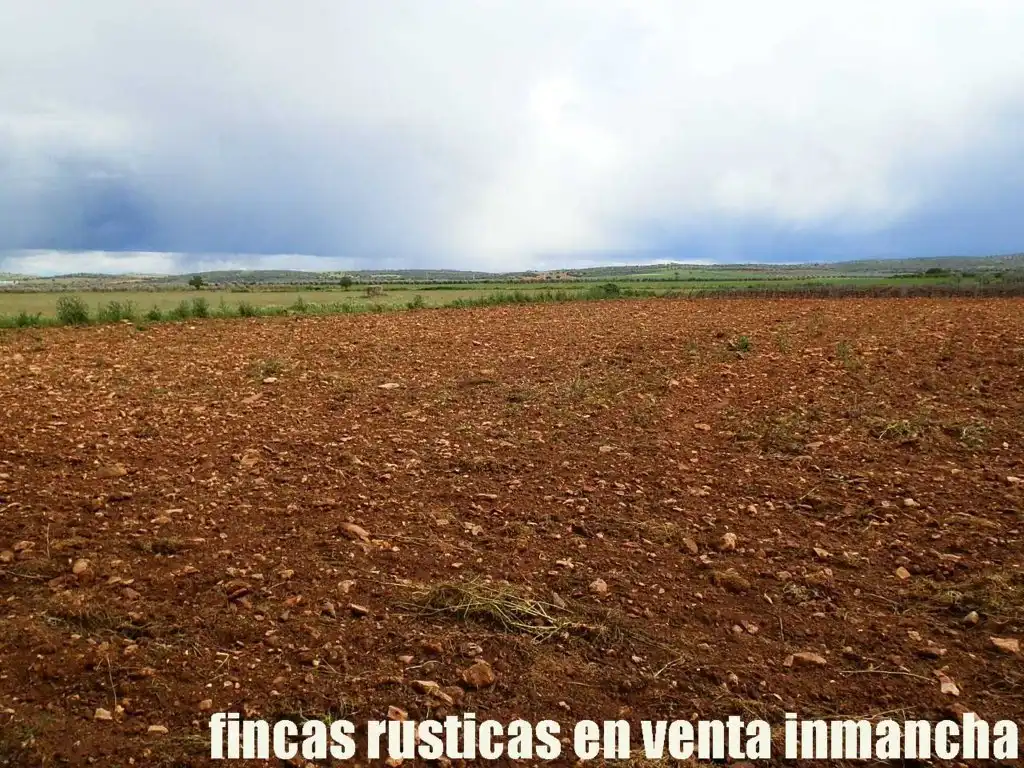 Terreno rustico in vendita a Pozuelo de Calatrava, imagen 3