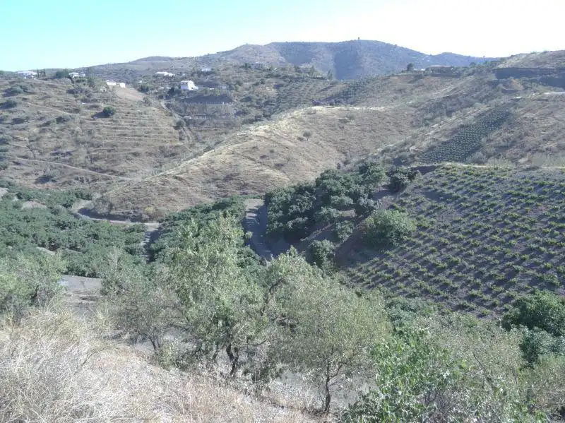 Casa rústica en venda a Viñuela, imagen 3
