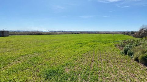 finca rustica en venta, immagine 5
