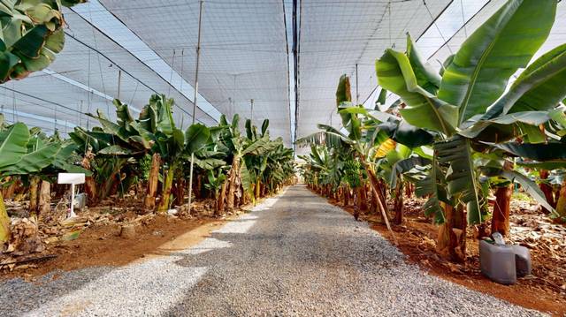 Terreno en Venta en Sardina