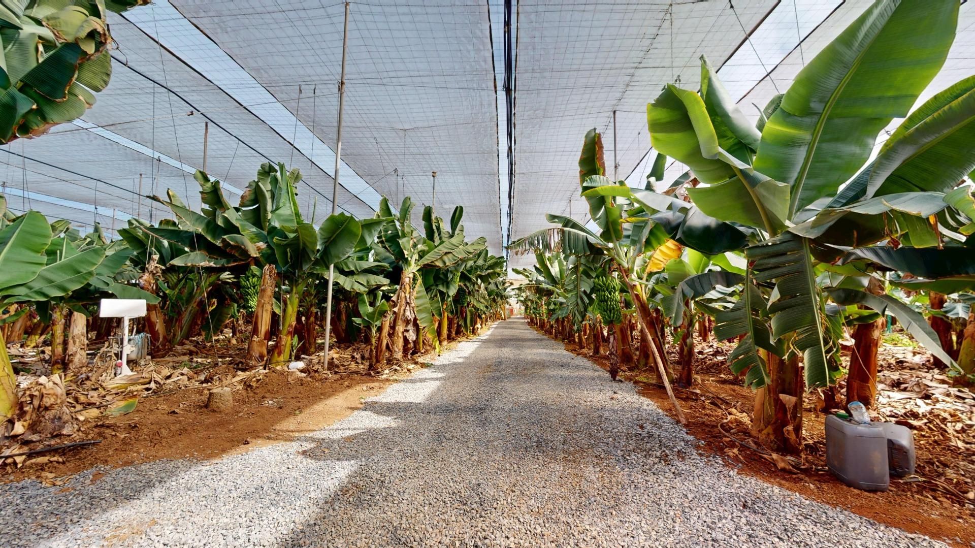 Exterior view of Land for sale in Gáldar