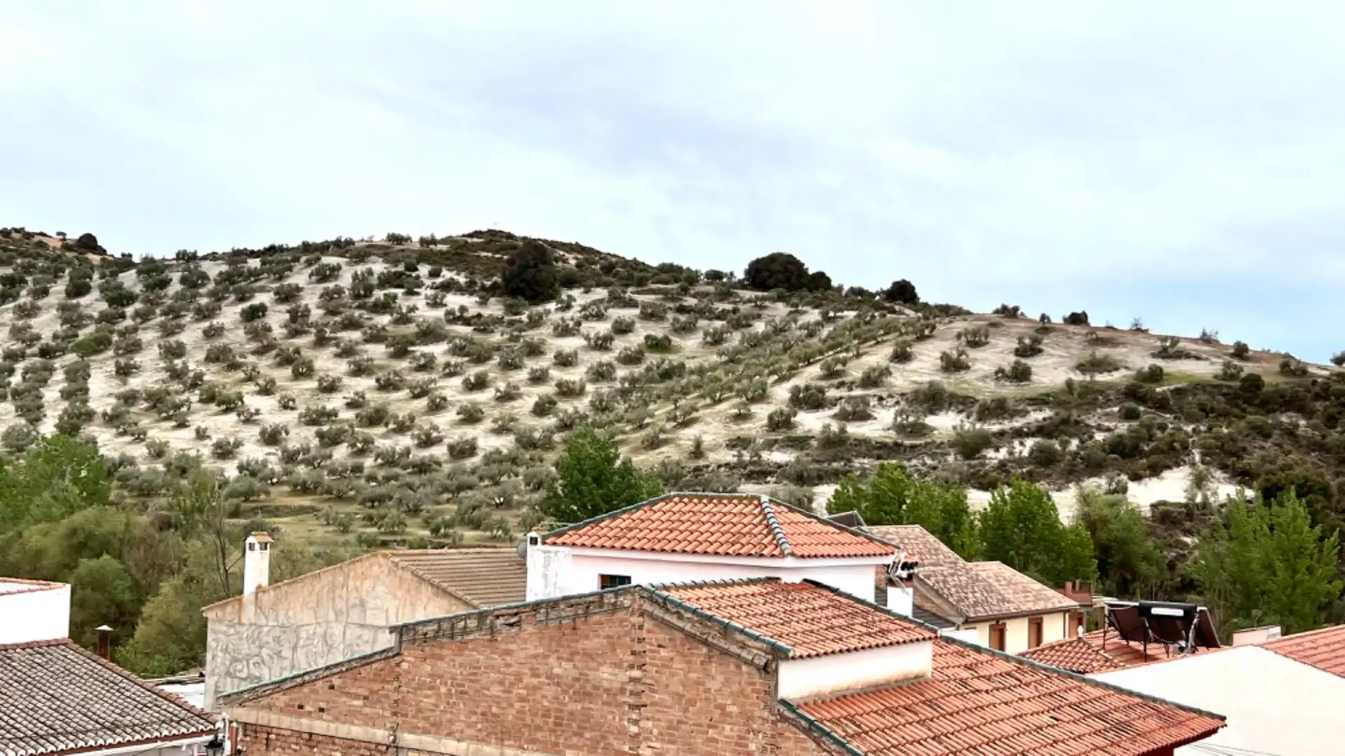 Maison avec terrasse à vendre à Calle Puerta Granada 22, imagen 23