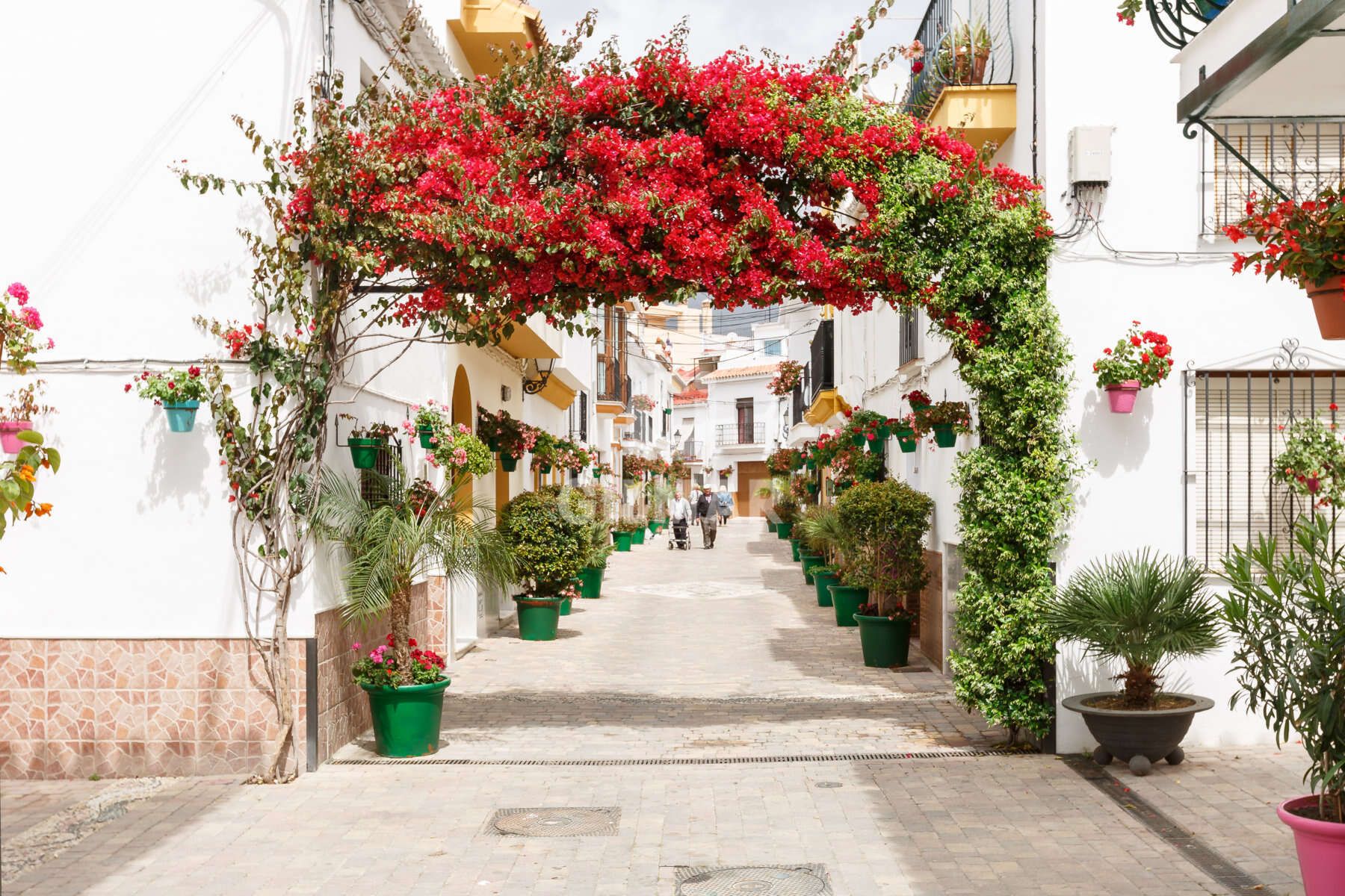 Exterior view of Single-family semi-detached for sale in Estepona