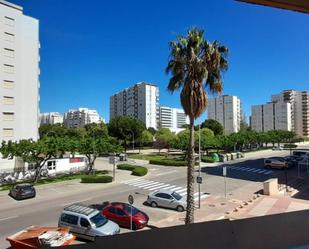 Apartment to rent in Playa de Gandia