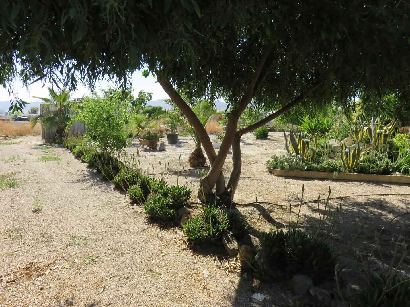 Jardín de Finca rústica en venta en Murcia con Jardín privado, Terraza y Trastero