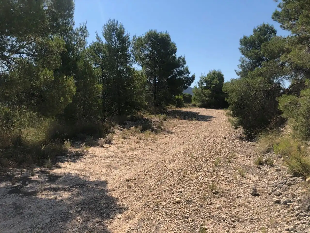 Rustikales Grundstück zum Verkauf in Jumilla, imagen 5
