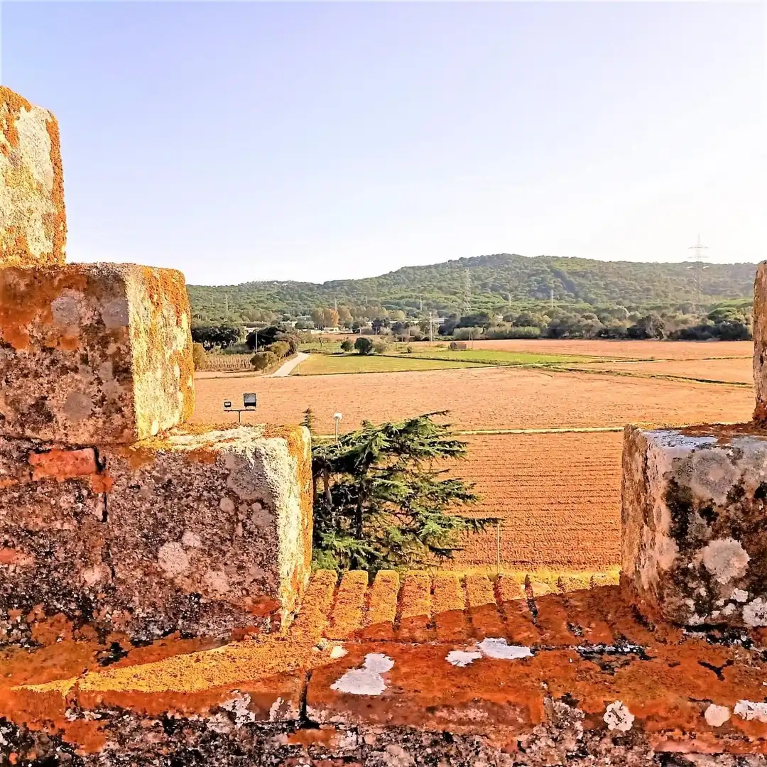 Jardín de Residencial en venta en Castell d'Aro, Platja d'Aro i s'Agaró