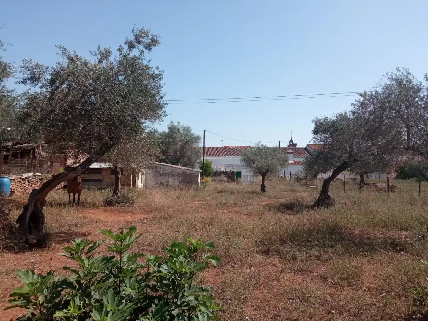 Finca rústica en venda en Corteconcepción amb Jardí privat