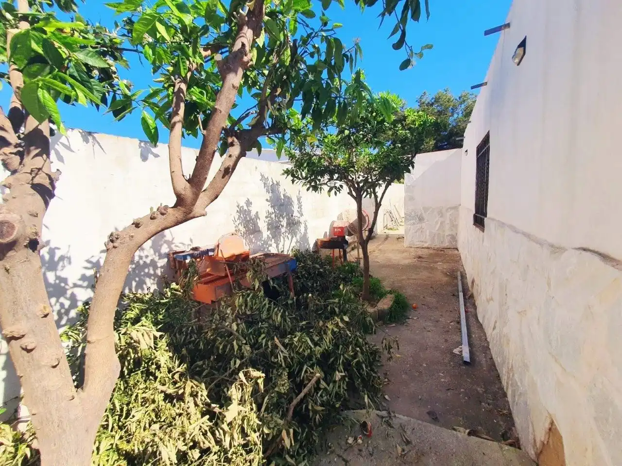 Jardí de Casa o xalet en venda en Pedralba amb Calefacció, Jardí privat i Terrassa