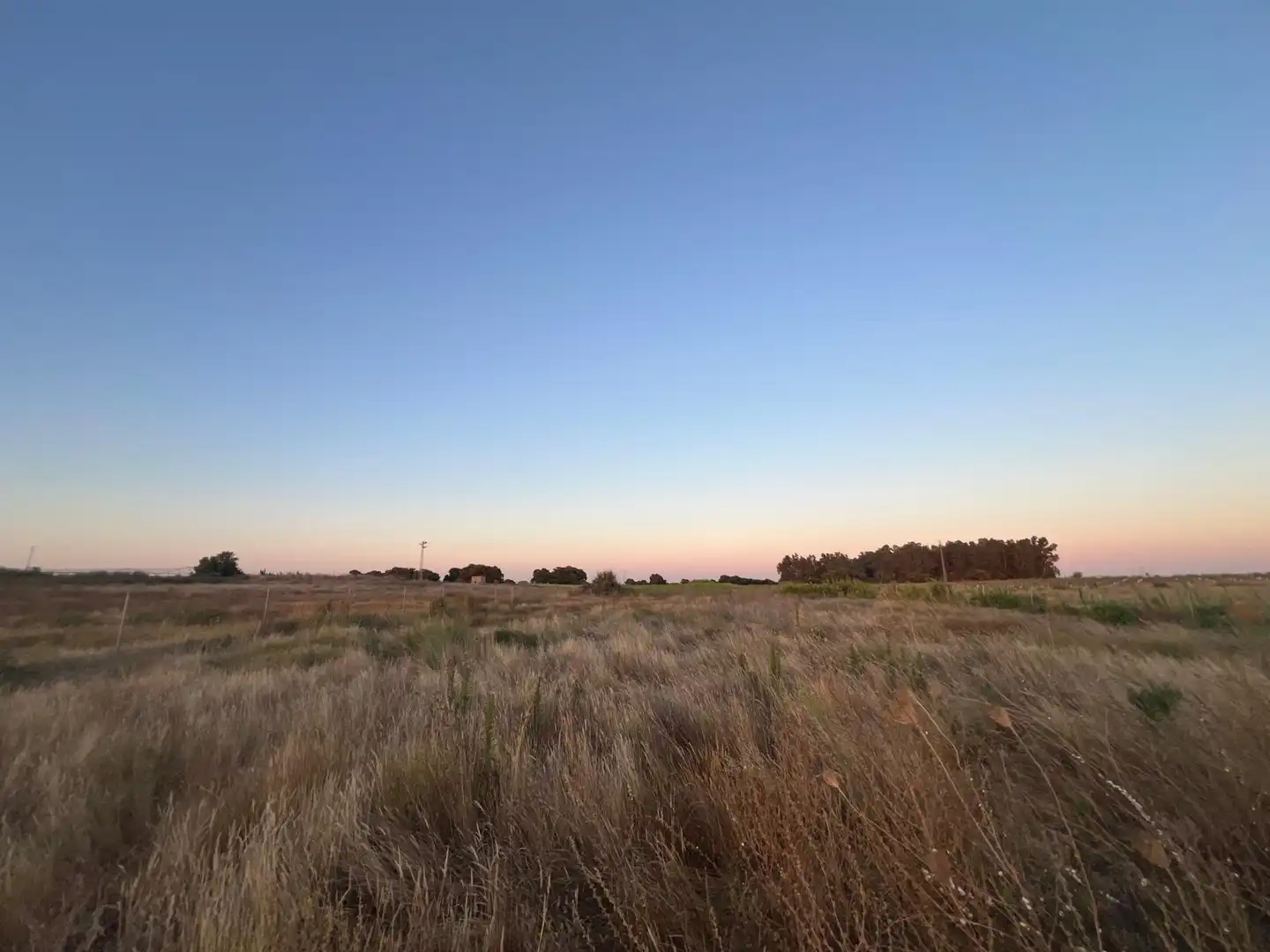 Terreny rústic en venda a Pedanías Norte, imagen 3