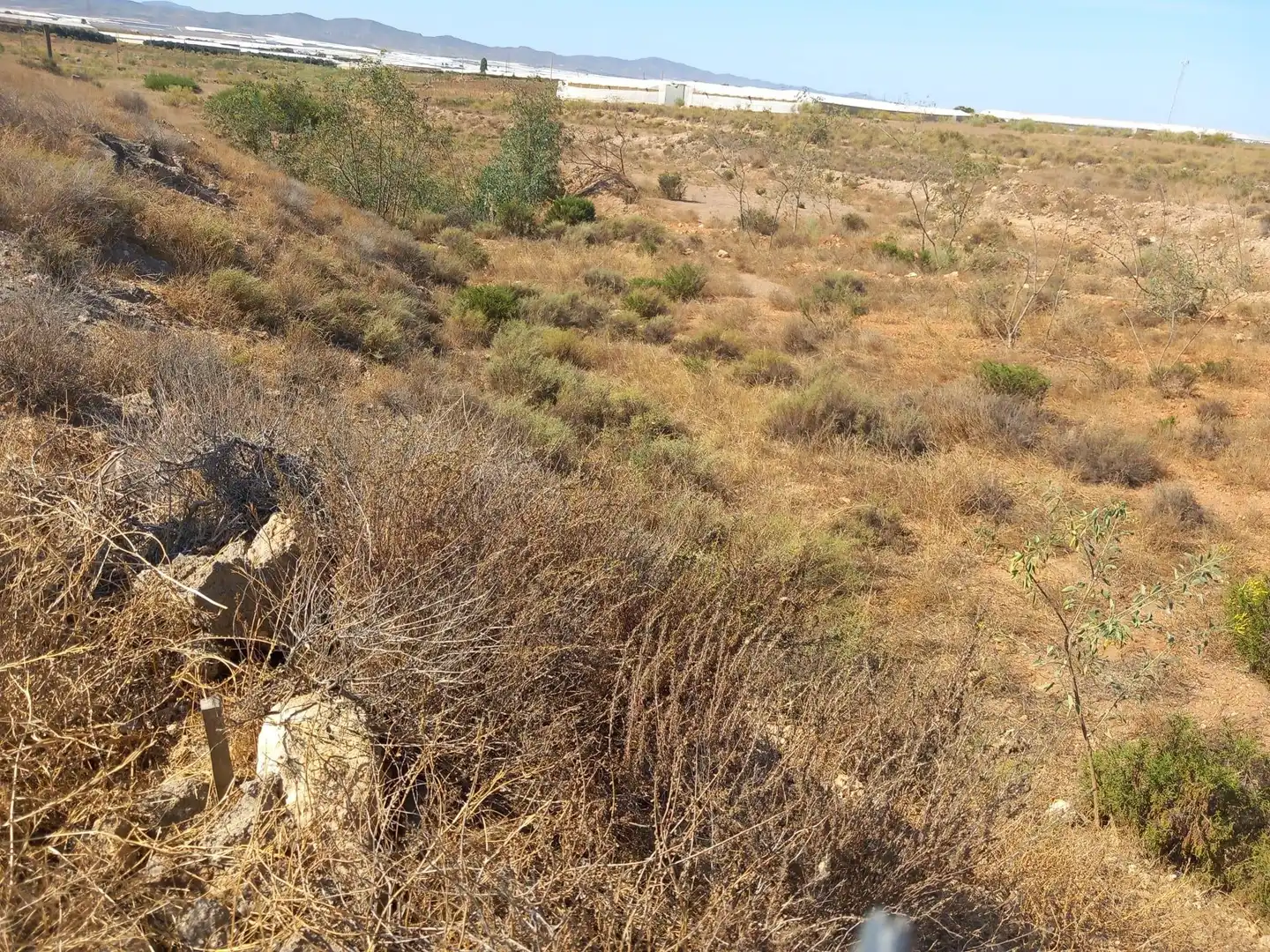 Terreny rústic en venda a San Isidro - Campohermoso, imagen 18
