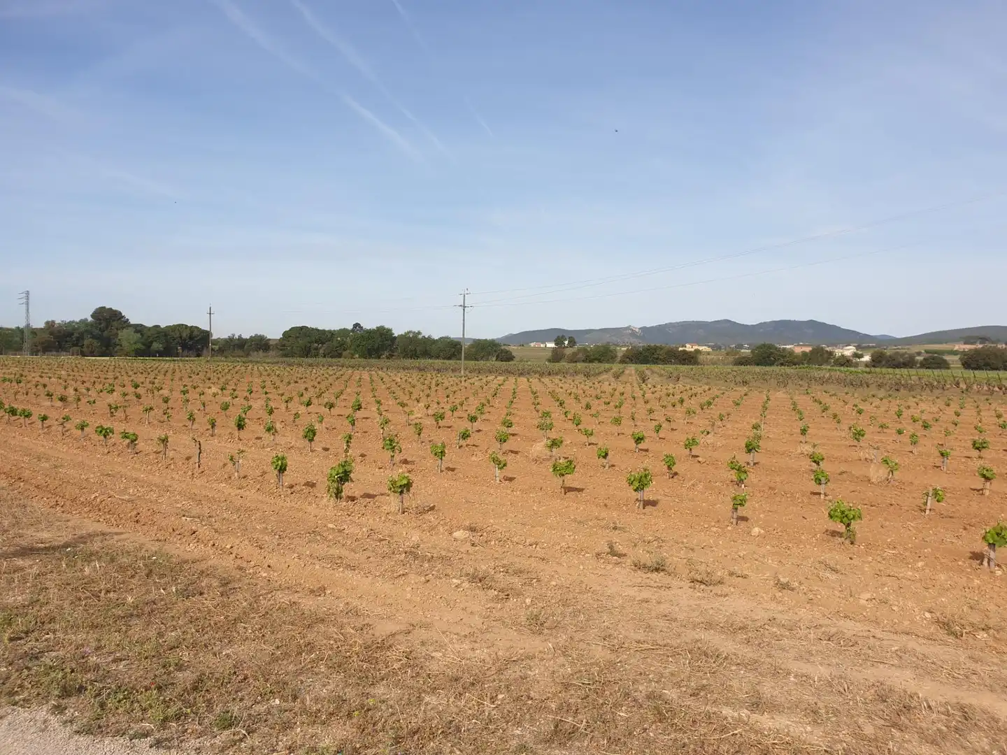 Country house zum Verkauf in Sant Martí Sarroca mit Privatgarten und Schwimmbad