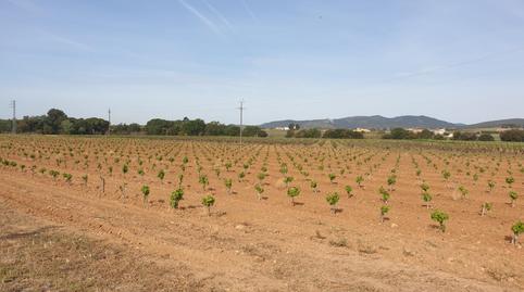 Photo 2 of Country house for sale in Sant Martí Sarroca, Barcelona