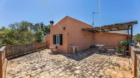 Foto 2 de Finca rústica en venta en Algaida, Illes Balears