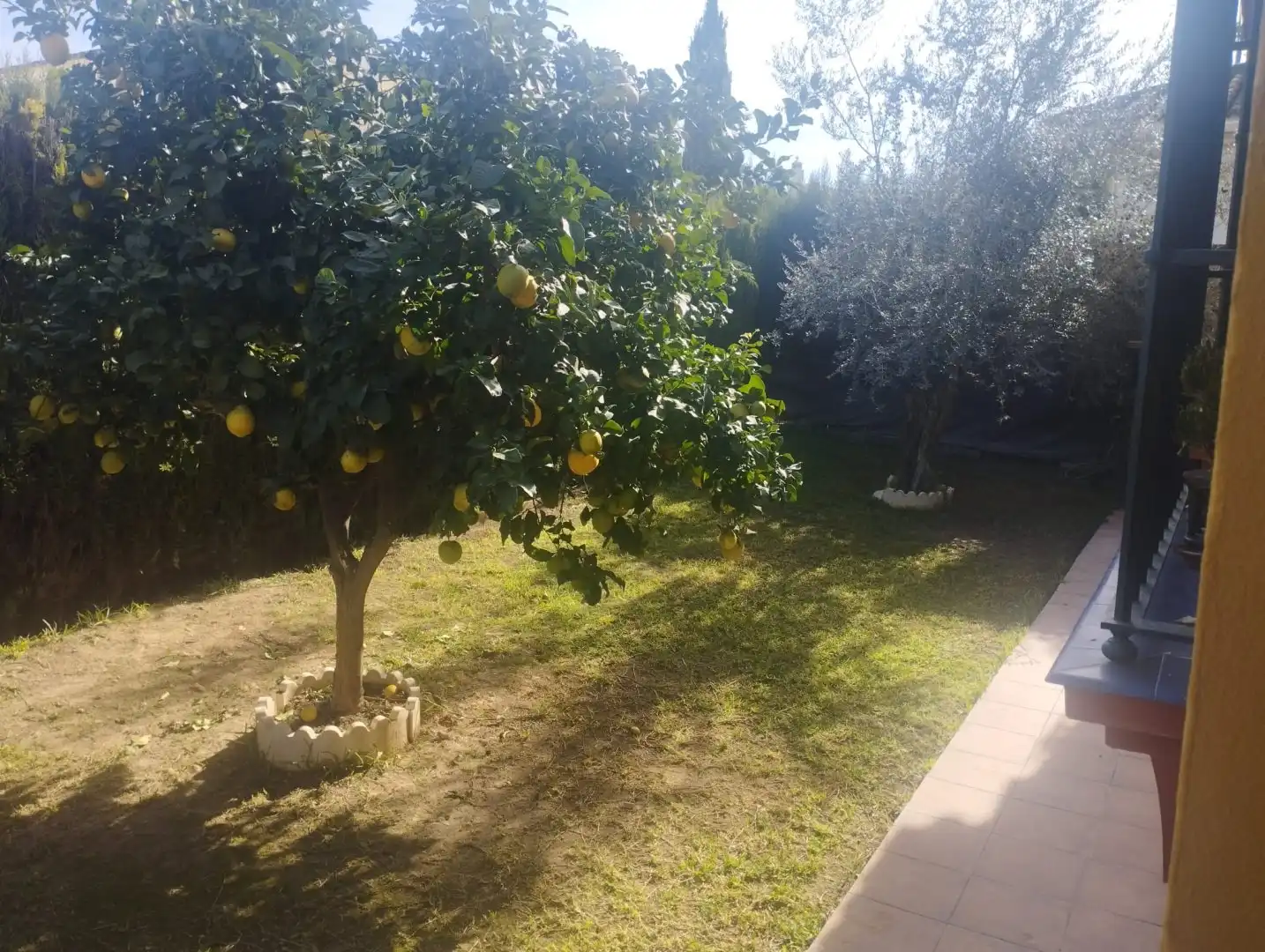 Jardín de Casa o chalet en venta en Bormujos con Aire acondicionado, Calefacción y Terraza