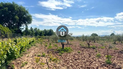 Foto 4 de Terreno en venta en Poligono 13, Calera y Chozas, Toledo