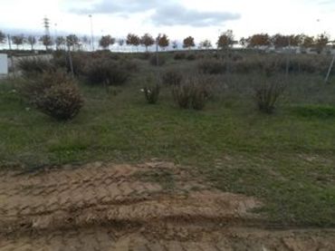Industrial land for sale in Campodón - Ventorro del Cano