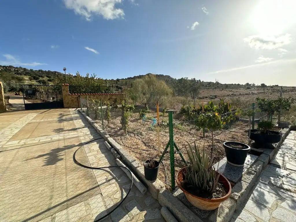 Jardí de Casa o xalet en venda en Magacela amb Jardí privat, Terrassa i Piscina