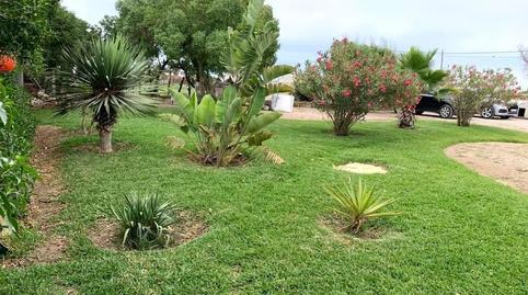 Foto 3 de Finca rústica en venda a Barbate ciudad, Barbate