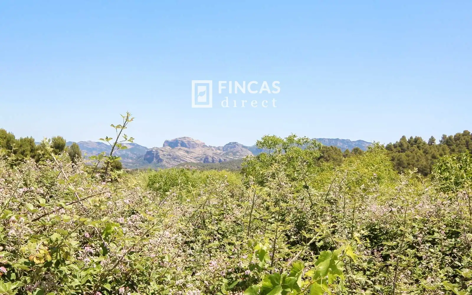 Country homes for sale in Cretas  with Air Conditioner