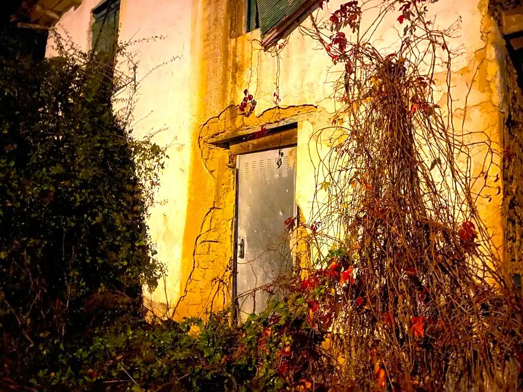 Maison à vendre à Arriba-Sv, imagen 2