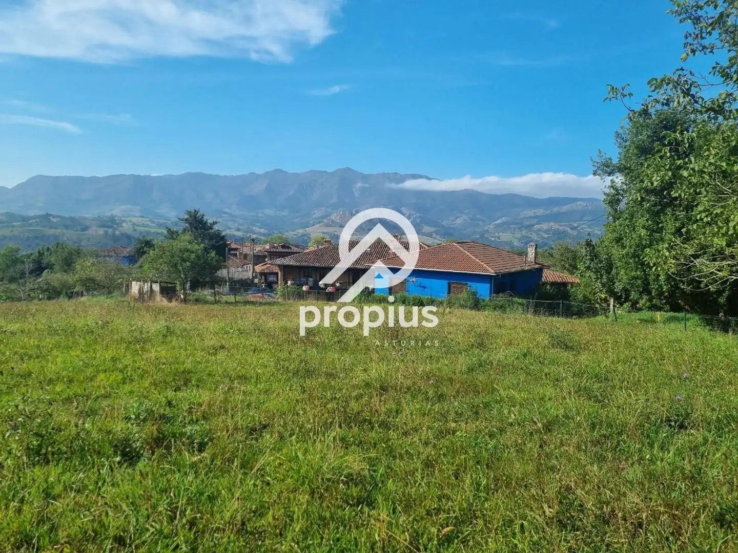 Rural land for sale in Arenas, imagen 17
