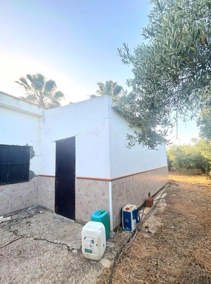 Vista exterior de Casa o xalet en venda en Alcolea del Río amb Terrassa