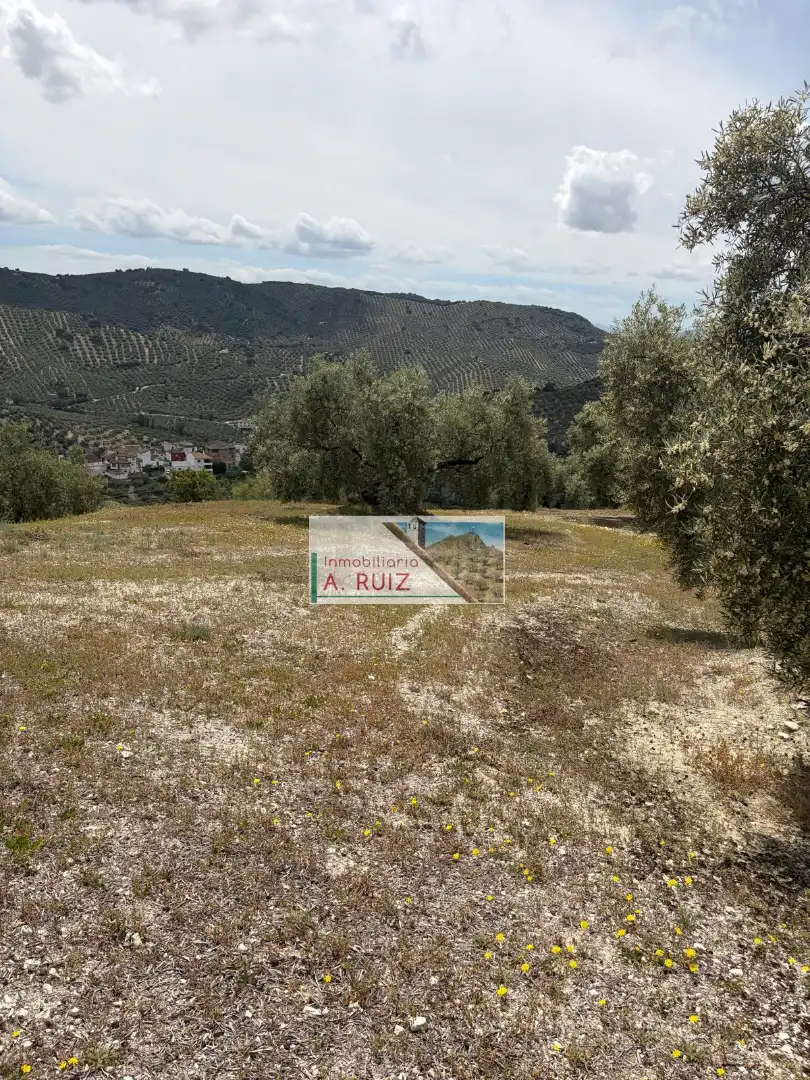 Rural land for sale in Iznájar, imagen 7