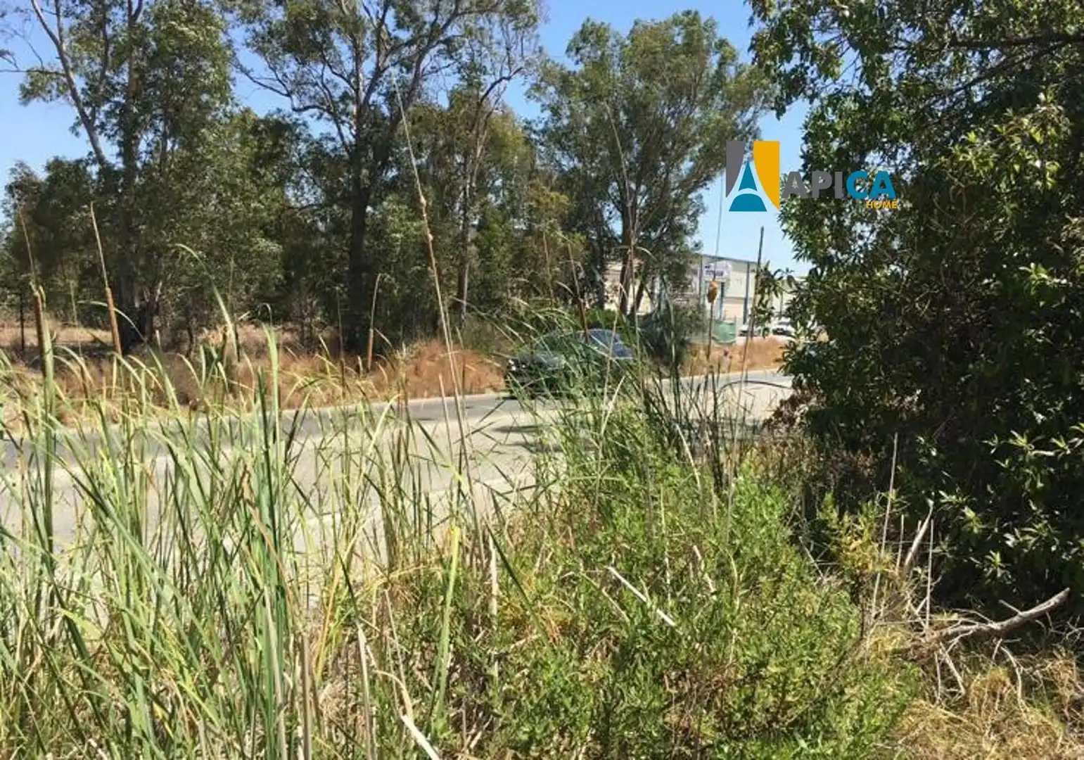 Terreno rustico in vendita a El Zabal - Santa Margarita, imagen 4