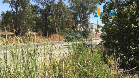 Foto 4 de Terreno en venta en El Zabal - Santa Margarita, La Línea de la Concepción