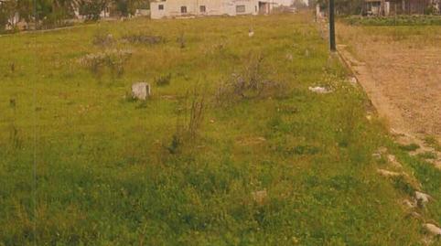 Foto 5 de Residencial en venda a Camí Dels Boverals, 20, Boverals - Saldonar, Vinaròs